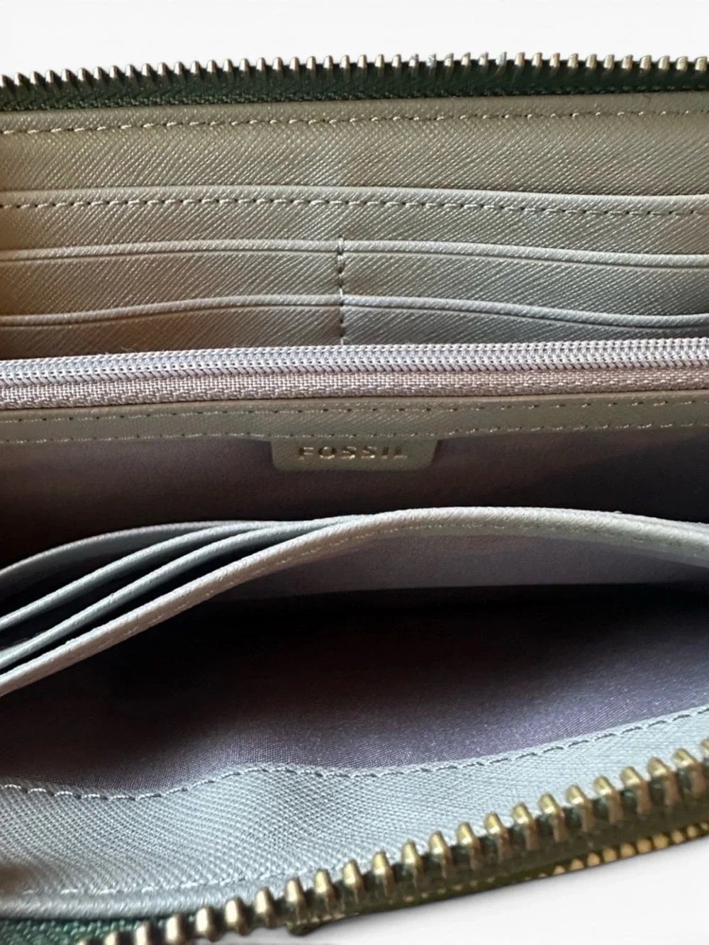 Fossil Jori Zip Clutch in Chive Green Lizard
